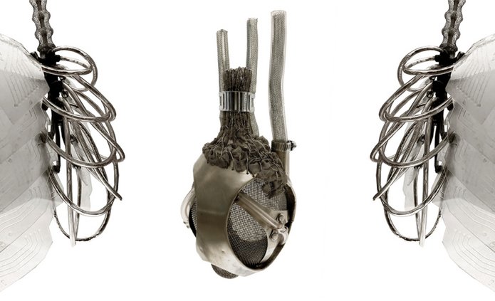 zdjęcie obiektów artystycznych: sztucznych płuc, serca, trzustki